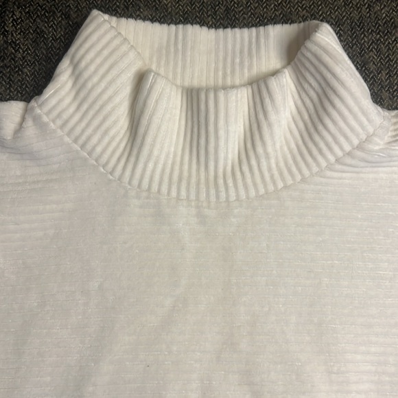 Madewell super soft ribbed mock turtleneck with wide sleeves. Warm and stylish. - Picture 2 of 9
